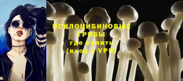 шишки Карпинск