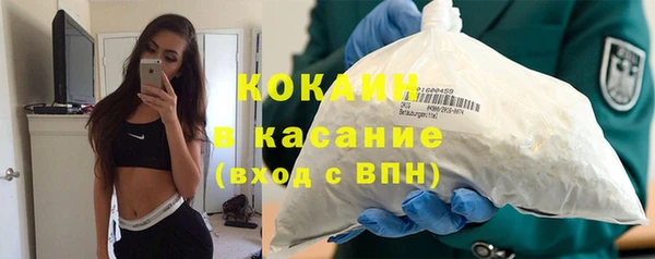 шишки Карпинск