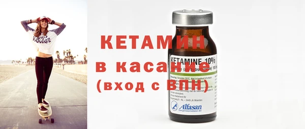 шишки Карпинск
