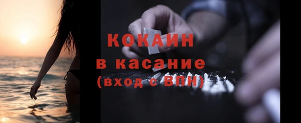 шишки Карпинск
