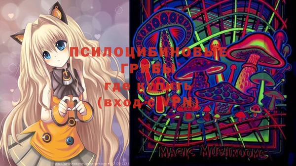шишки Карпинск